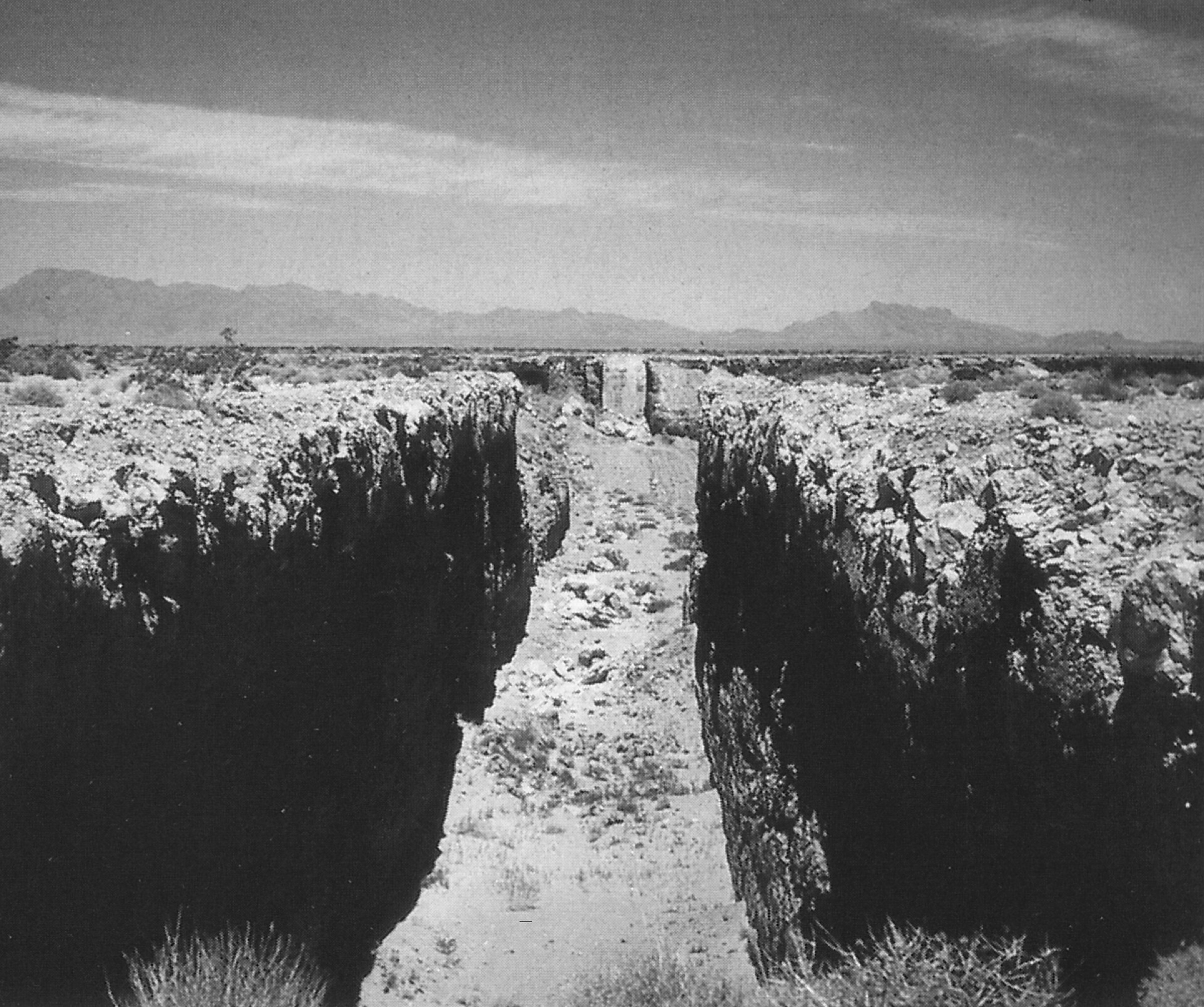 Michael Heizer