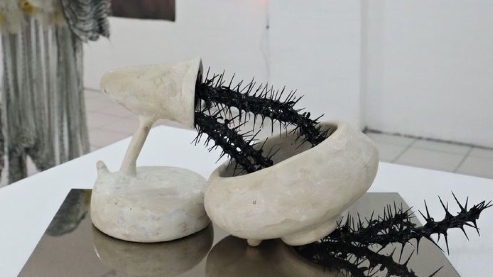 Museo de Arte Transfemenino (MAT)